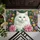 White Cat Pink Dahlia Garden Blooms & Greenery - Home Decor Gift for Garden & Cat Lover Doormat - 6