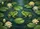 Green Frogs Lily Pads Water Lilies Aquatic Plants Pond - Wildlife Lover Home Decor Gift Doormat - 7