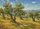 Mediterranean Olive Grove Golden Hillside - Home Decor Gift for Garden Lover Doormat - 7