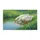 Two White Geese Water Grass Wildflower - Wildlife Lover Home Decor Gift for Bird Watcher Doormat - 3