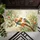 Vibrant Birds Orange Berries Gnarled Branch Botanical Leaves - Wildlife Lover Home Decor Gift Doormat - 6