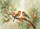 Vibrant Birds Orange Berries Gnarled Branch Botanical Leaves - Wildlife Lover Home Decor Gift Doormat - 7