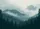 Misty Mountain Range Pine Forest - Home Decor Gift for Nature Lover Doormat - 7