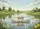 Fluffy White Ducks Pond Lily Pads Dandelions Green Hills Windmills - Nature Lover Gift Doormat - 7