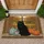 Black Cat Autumn Window Scene Rustic Pumpkins - Fall Home Decor Gift Doormat - 1
