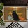 Black Cat Autumn Window Scene Rustic Pumpkins - Fall Home Decor Gift Doormat - 6