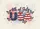 USA Flag Butterflies Fireworks 4th of July Home Decor Doormat - 7