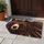 Powerful Angular Bear Face with Prominent Nose - Wildlife Lover Home Decor Gift Doormat - 5