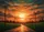 Dramatic Sunset Sky Silhouettes Utility Poles Rural Road Landscape - Home Decor Gift Doormat - 7