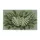 Monstera Fern Tropical Leaf Greenery Aged Plaster - Botanical Home Decor Gift Doormat - 3