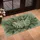 Monstera Fern Tropical Leaf Greenery Aged Plaster - Botanical Home Decor Gift Doormat - 4