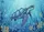 Ocean Sea Turtle Starfish Coral - Wildlife Lover Home Decor Gift Doormat - 7