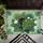 Curious Black Cat Monstera Tropical Leaves - Home Decor Gift for Cat Lover Doormat - 6