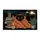 duiyfppz/products/6a3c02cf4004c06cbbf216b4/gallery/UUDLeCQjJm