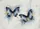 Abstract Shimmering Blue Gold Butterflies - Home Decor Gift for Butterfly Lover Doormat - 7