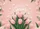 Hello Spring Lush Tulips Graceful Butterflies Bouquet - Spring Home Decor Gift Doormat - 7