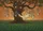 Burnt Orange Sky Treehouse Hammock Dreamcatcher Grass - Boho Home Decor Gift Doormat - 7