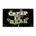 duiyfppz/products/6a3ca8163b38961271b715cc/gallery/ta6JkEhAGb