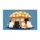 duiyfppz/products/6a3cb734f9fca625a711d9d3/gallery/SVDTmFljHI