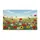 duiyfppz/products/6a3cc759fd80b1fa63478e57/gallery/9nCE4R07lS