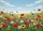 duiyfppz/products/6a3cc759fd80b1fa63478e57/gallery/X4-ERsPGmN