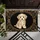 duiyfppz/products/6a3ce59d30548d93c5623e59/gallery/WMyi7iwJ9N