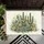 duiyfppz/products/6a3ce5b6fd80b10a1747ab2d/gallery/XF3uMDqtQF