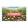 duiyfppz/products/6a3ceeb94004c02a08f30c36/gallery/pKo_mbZ186