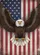 Bald Eagle American Flag Stars Stripes - Independence Day Gift for Veterans Baseball Jersey - 6