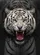 White Tiger Head Orange Eyes Sharp Teeth Pink Tongue - Wildlife Lover Gift Baseball Jersey - 6