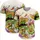 Green Cactus Avocado Red Chili Sombrero Guitar Maraca - Fiesta Celebration Gift Baseball Jersey - 5