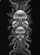 Luminous Organic Bell Aquatic Forms Fractal Coral Structures - Yoga & Meditation Gift Baseball Jersey - 6