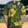 Hibiscus Flowers Leafy Elements Tropical Vacation Gift for Beach Lover Baseball Jersey - 2
