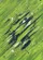 Lime Navy Gold Paint Strokes Splatter Drips - Everyday Use Gift Baseball Jersey - 6