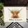 duiyfppz/products/6a3de7f025fd2281c8c6ff05/gallery/Xy_OvDt6aL