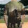 duiyfppz/products/6a3ded3725fd22b26ec70772/gallery/aDrNPPCBHf