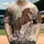 duiyfppz/products/6a3dedfe64dc796e9a8a824f/gallery/DaG7NQtJZh