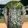 duiyfppz/products/6a3deef7da951d7d9b7fdcc9/gallery/t9QSgAvnmu