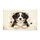 duiyfppz/products/6a3df1acc62a3c412a98710b/gallery/CNmSoJkDCm