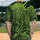 duiyfppz/products/6a3df8d1da951d2c0a7fedd6/gallery/BMb4Mw-rfR
