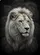 duiyfppz/products/6a3e1c62632b69f27a443b9b/gallery/Qui_S1RikV