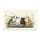 duiyfppz/products/6a3e1cefb462e44164368b70/gallery/Nl_QuuiCmH
