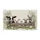 duiyfppz/products/6a3e1fc1deb345832e52f917/gallery/Hfo8LLItBD