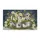 duiyfppz/products/6a3e2154be0acde264c4b275/gallery/w6_ok24z8W