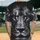 duiyfppz/products/6a3e22af23442051f78d0f16/gallery/P3C7psb0Bx