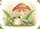 duiyfppz/products/6a3e2385b00ece1f1f908871/gallery/2uxaBjSMe4