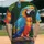 duiyfppz/products/6a3e23d62436207d351b279e/gallery/6mK--z26eH