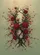 duiyfppz/products/6a3e2451632b694373446cc0/gallery/sIdKKhdhSL