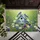 duiyfppz/products/6a3e24f49be1e089d9a37eee/gallery/qH9xYZKA1Y