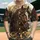 duiyfppz/products/6a3e25d19ff14de7a10e857d/gallery/kQMTtmnMBK